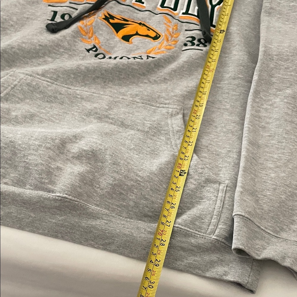 Cal Poly Pomona Y2K vintage Gray Hoodie OURAY Large - Picture 4 of 6